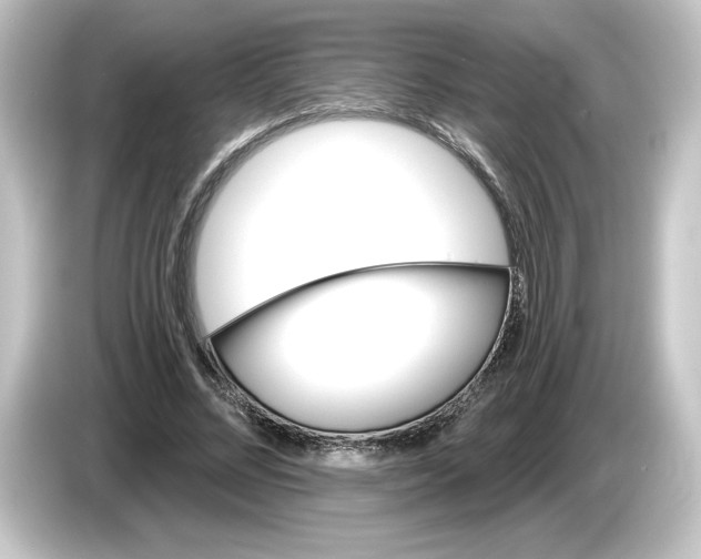 X0000084600684200703161818