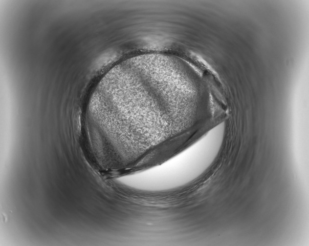 X0000084600685200703161818