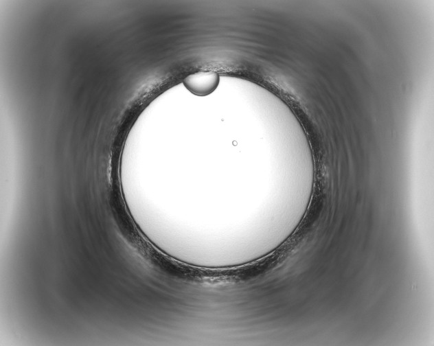 X0000084600686200703161818