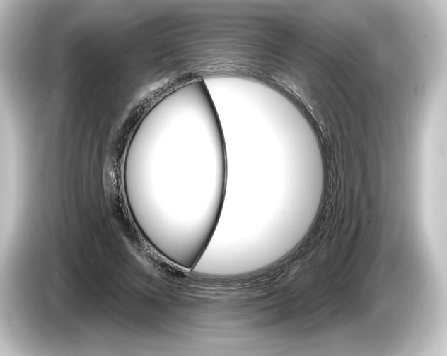 X0000084600688200703161818