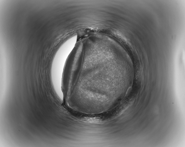 X0000084600689200703161818