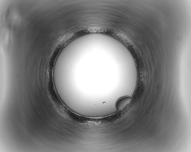 X0000084600690200703161818