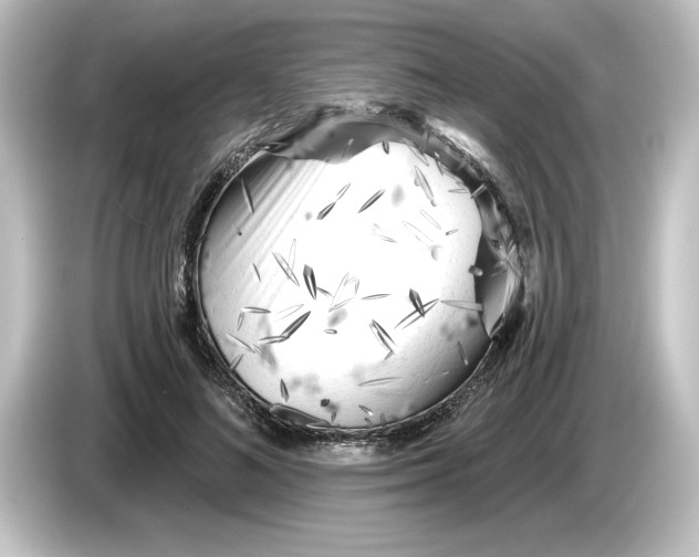 X0000084600692200703161818