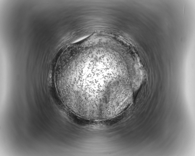 X0000084600696200703161818