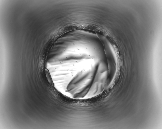 X0000084600697200703161818