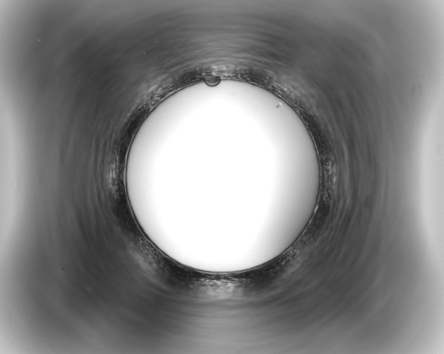 X0000084600698200703161818