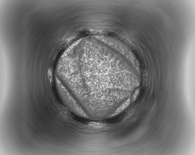 X0000084600699200703161818