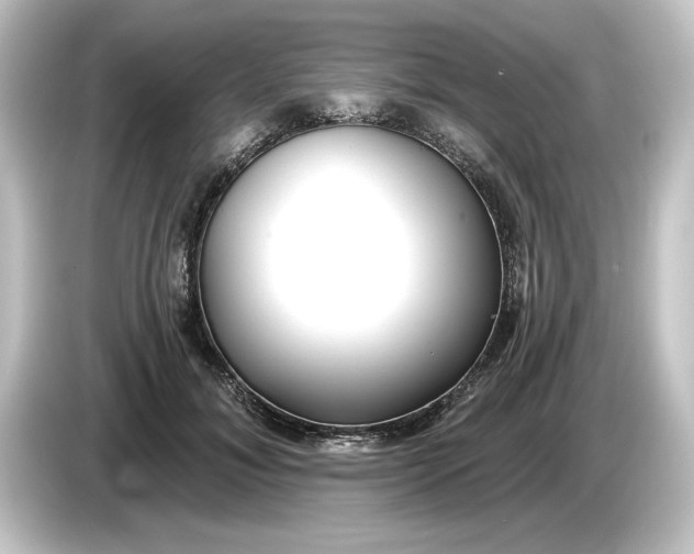 X0000084600700200703161818