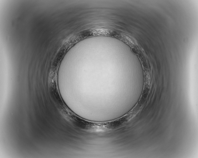 X0000084600701200703161818