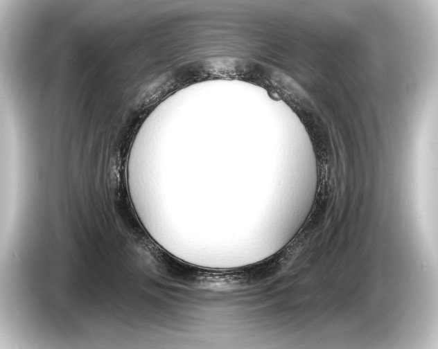 X0000084600702200703161818