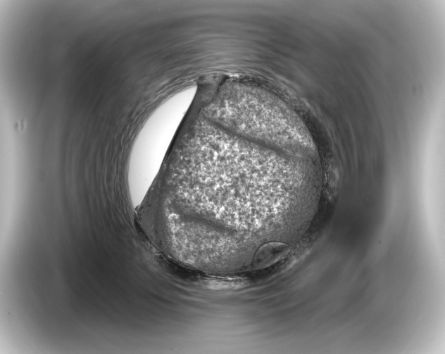 X0000084600707200703161818