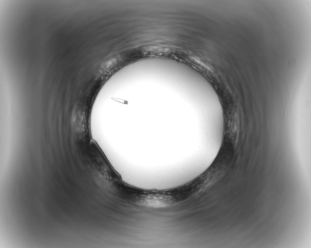 X0000084600708200703161818