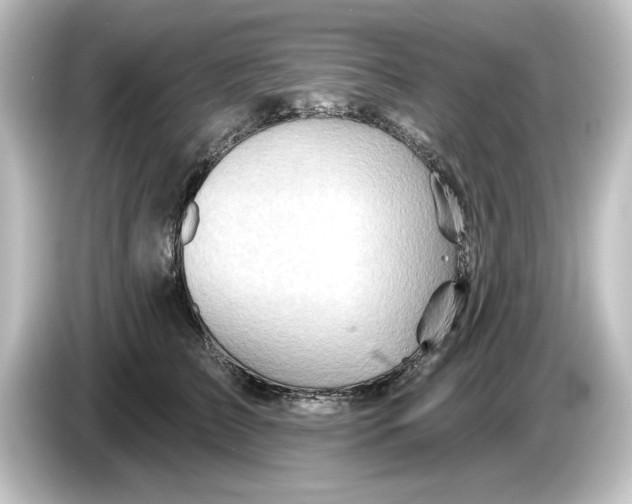 X0000084600709200703161818