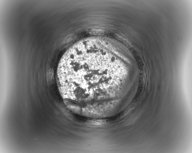 X0000084600711200703161818