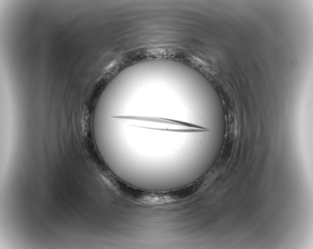 X0000084600712200703161818