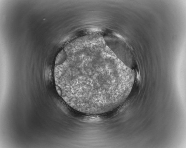 X0000084600715200703161818