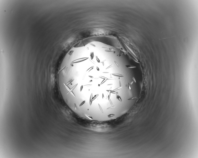 X0000084600716200703161818