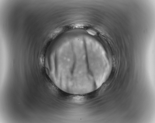 X0000084600718200703161818