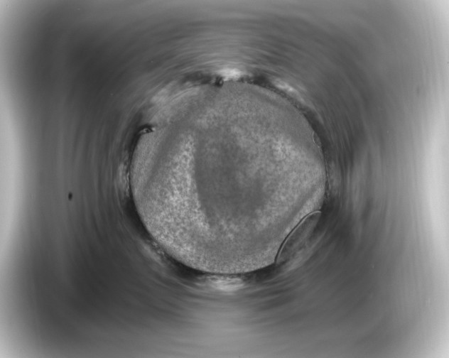 X0000084600719200703161818