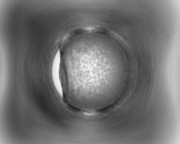 X0000084600720200703161818