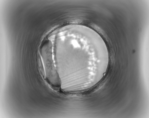 X0000084600721200703161817