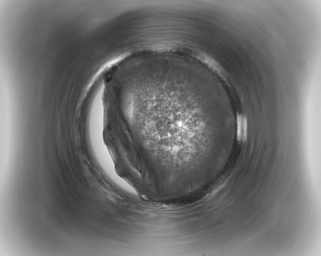 X0000084600723200703161817