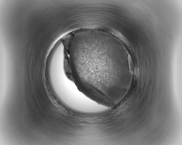 X0000084600724200703161817