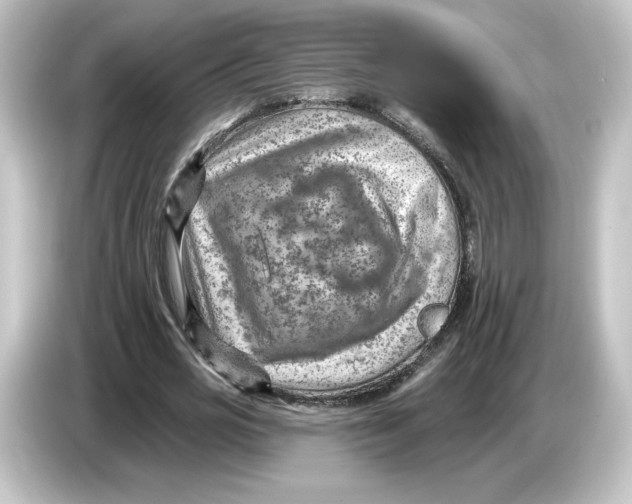 X0000084600725200703161817