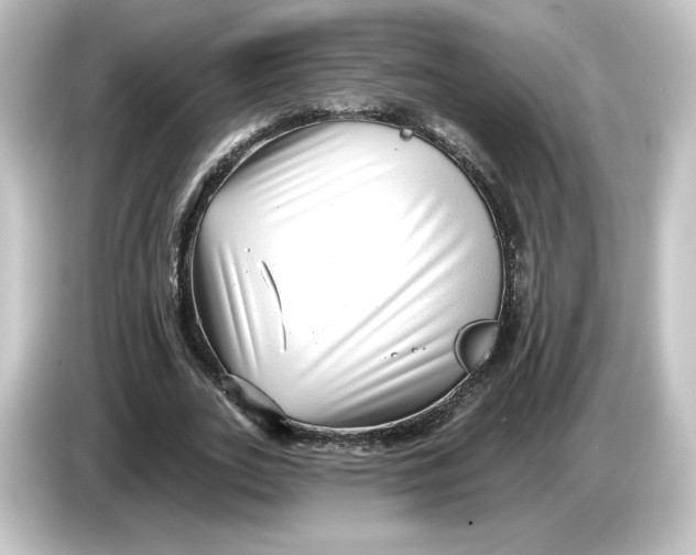 X0000084600727200703161817