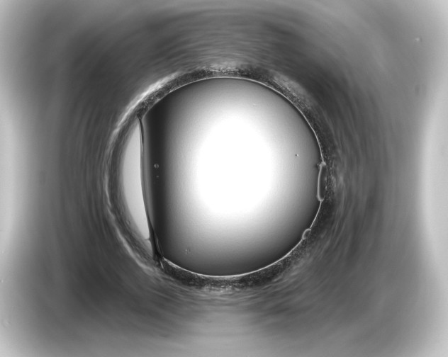 X0000084600728200703161817