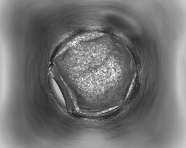 X0000084600729200703161817