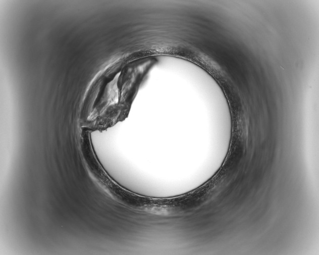 X0000084600730200703161817