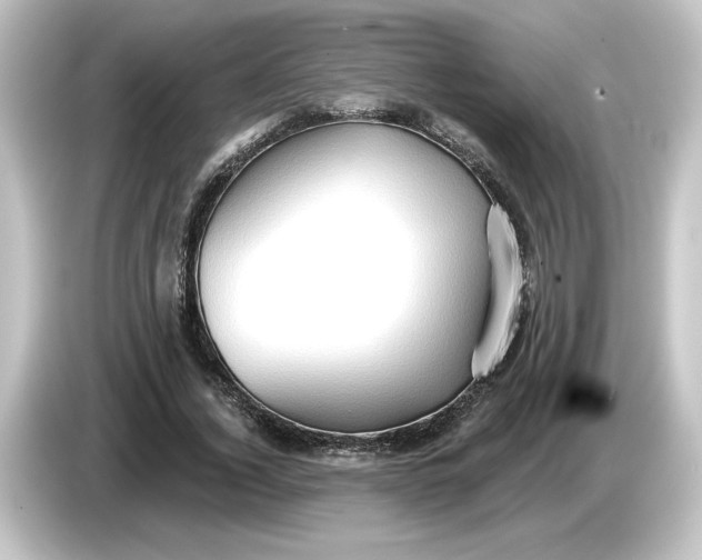 X0000084600732200703161817