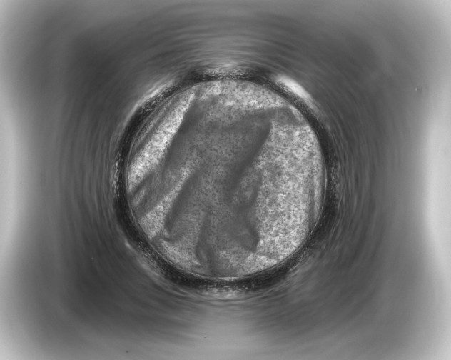 X0000084600735200703161817