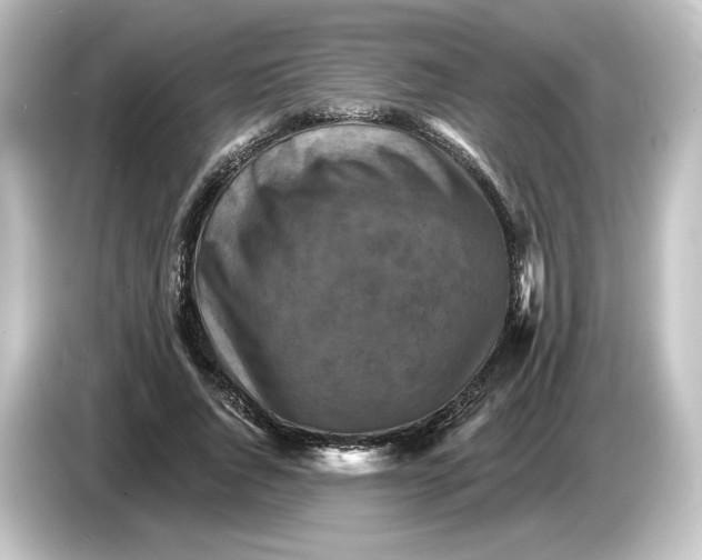 X0000084600736200703161817