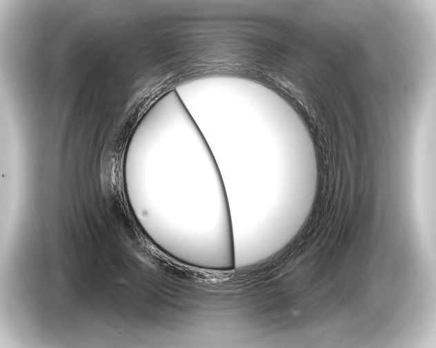 X0000084600740200703161817