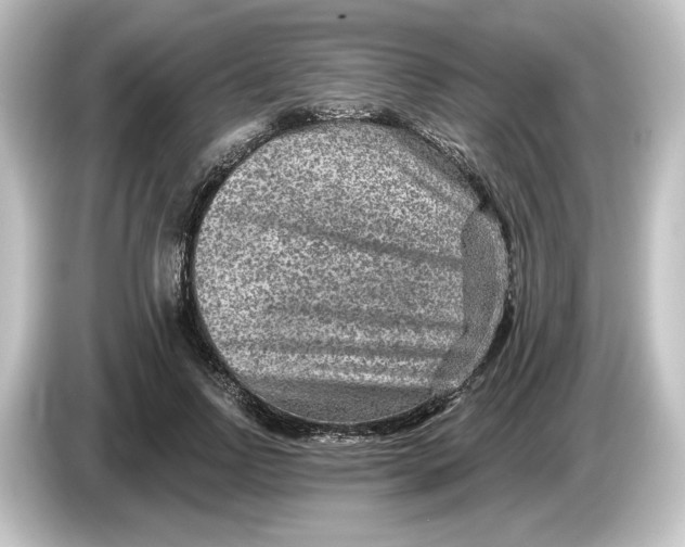 X0000084600742200703161817