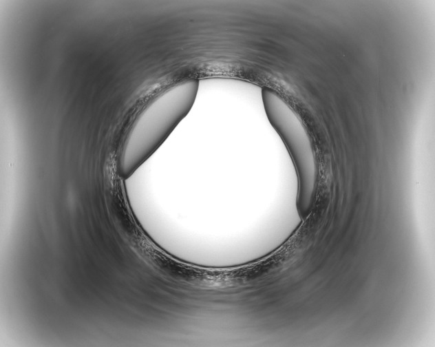 X0000084600744200703161817