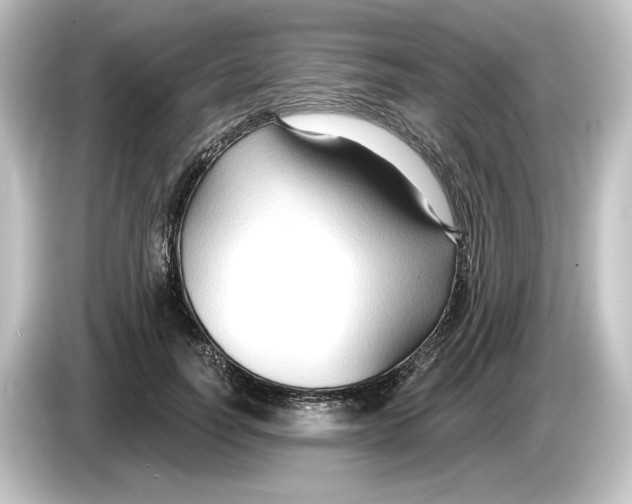 X0000084600746200703161818