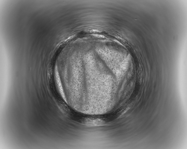 X0000084600747200703161818