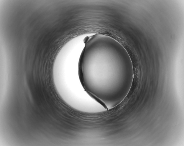 X0000084600754200703161818