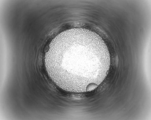 X0000084600757200703161818