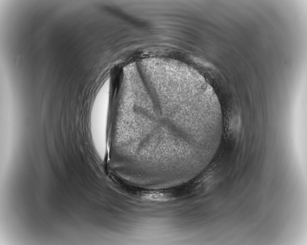 X0000084600759200703161818