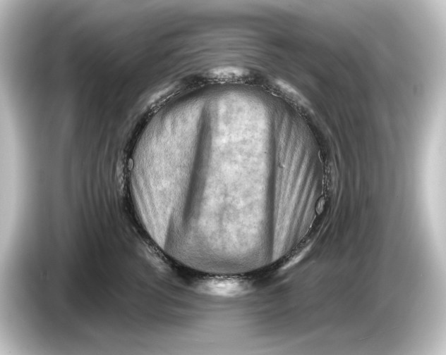 X0000084600762200703161818