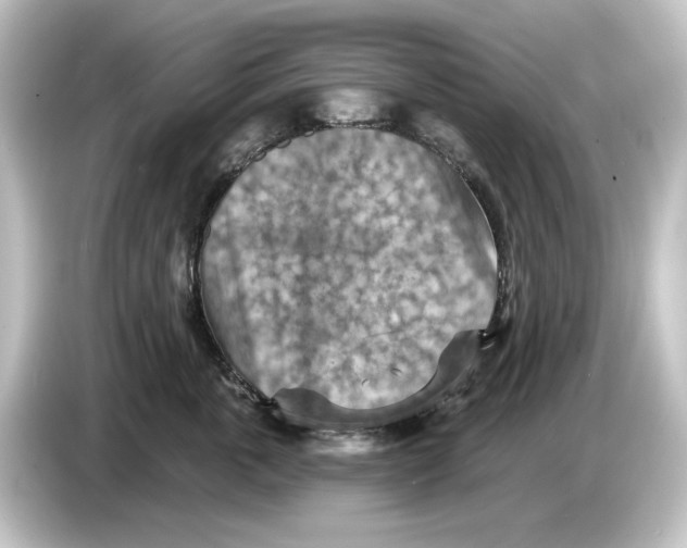 X0000084600763200703161818