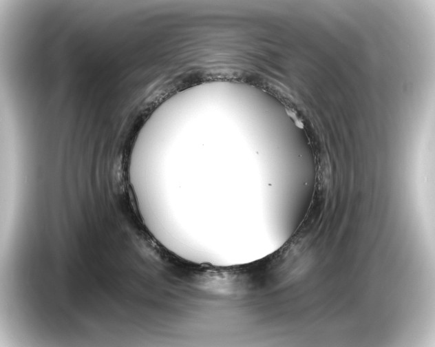 X0000084600764200703161818