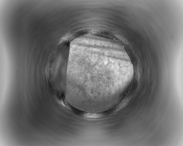 X0000084600766200703161818