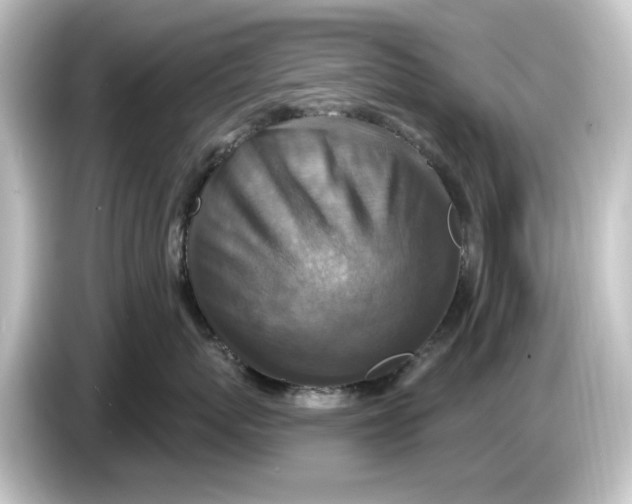 X0000084600767200703161818