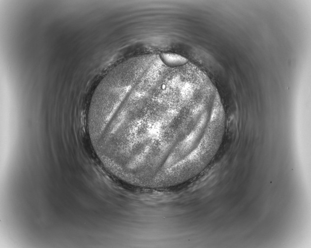 X0000084600772200703161817