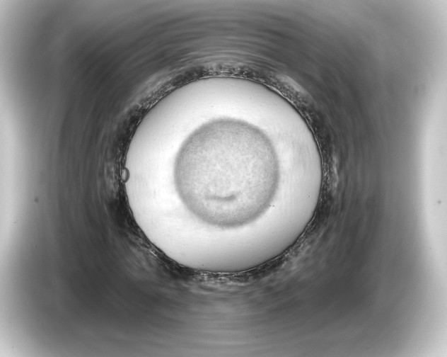 X0000084600774200703161817